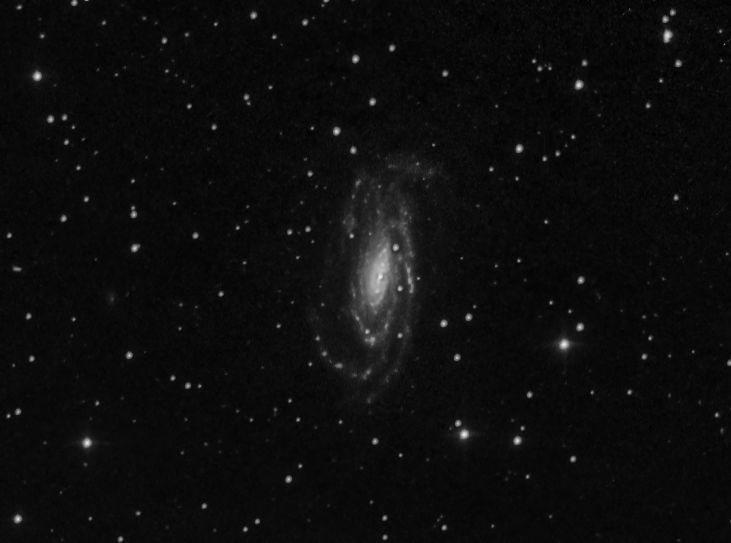 Galàxia NGC5033