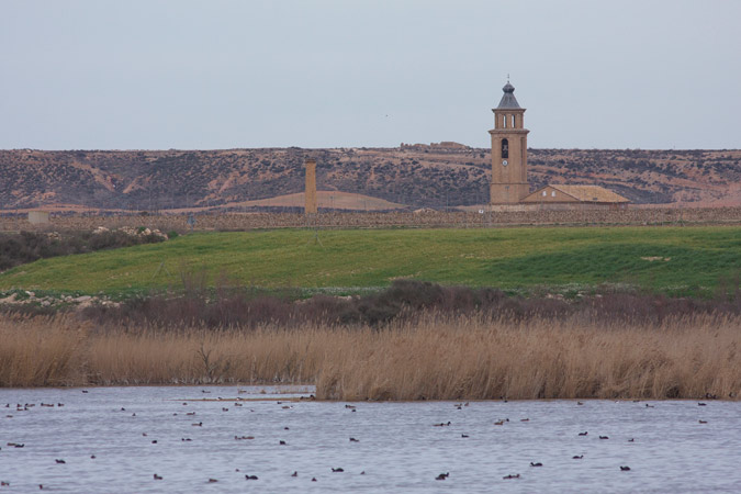 El Hondo de la Unilla