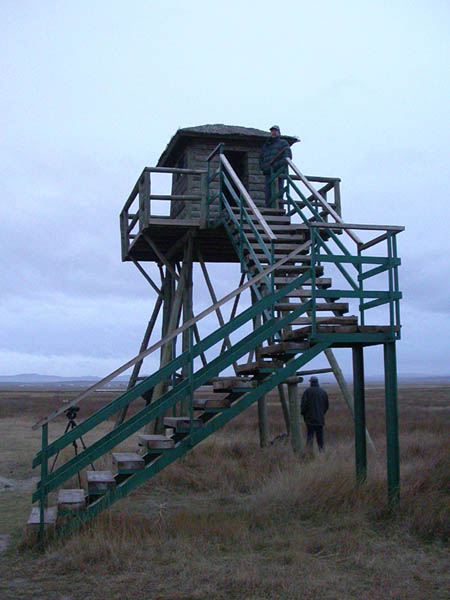 Torreta del observatorio del Cañizar, Tornos