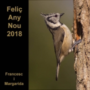 Felicitació Any Nou 2018