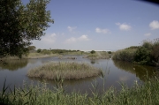 Estany de la Roberta