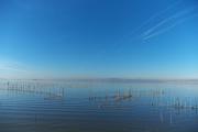 Llac de l'Albufera, des de la Gola de Pujol