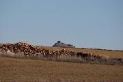 Castell de Tornos