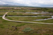 Pingvellir.Circulo dorado