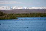 Paisatge