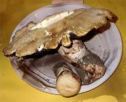 Agaricus alberti (=A. macrosporus)