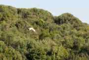 Menorca. Camí de Cavalls