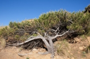 Menorca. Camí de Cavalls