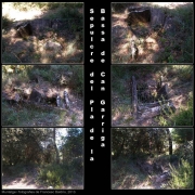 Sepulcre del Pla de la Bassa de Can Garriga 2/2