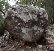 Menhir de can Mont