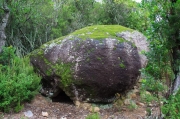 Cova d'en Savalls