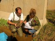 Reintroducción mauremys leprosa en Esparreguera