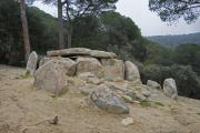 Dolmen Ca l'Arenes 7de7