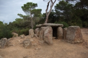 Dolmen de Ca l'Arenes