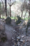 Cova sepulcral  Costa de Can Martorell