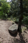 Menhir de la Pedra Llarga