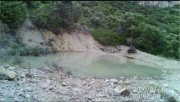Fotoparany al Montsec: Cabirol banyant-se