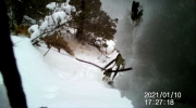 Fotoparany a Vallbona: Guineu amb tot nevat