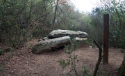 Dolmen de Castellruf