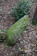 Menhir La Pedra del diable