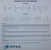 Cartell: Cromlec de Pins Rosers 1de4