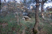 Dolmen de l'Ollic