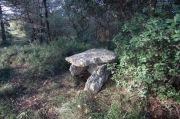 Dolmen de l'Ollic