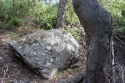 Pedra del Coll del Pi d'en Buac