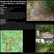 Menhir del Pla de les Bruixes 1/2