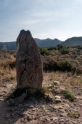 Menhir de la Casa Cremada I