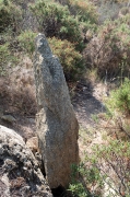 Menhir o pedra dreta del Mas Mares II