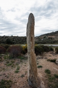 Menhir o pedra dreta del Mas Mares I