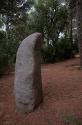 Menhir de la Murtra