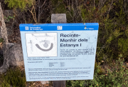 Cartell: Menhir dels Estany I