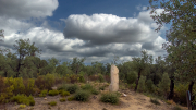 Menhir dels Estany II