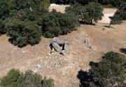 Dolmen del Mas Baleta I. No hi ha cartell indicador