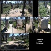 Menhir dels Estanys I 2/2