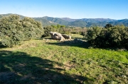 Dolmen del Mas Baleta I