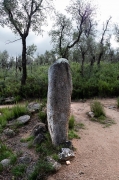 Menhir del Estanys I