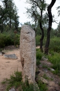 Menhir del Estanys I