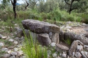 Dolmen Estanys I