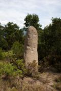 Menhir del Puig del Castellar 1de2