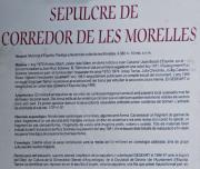 Cartell: Morelles  1de4