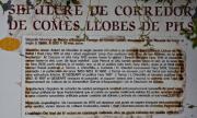 Cartell: Dolmen de Comes Llobes de Pils 1de3