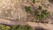 Menhir del mas Roqué