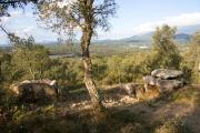 Dolmen Barraca del Lladre 4de4