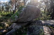 Pedra del Sacrifici