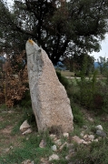 Menhir Quer Afumat I