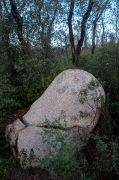 Menhir Vidal