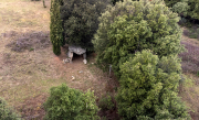 Dolmen de Mas Puig Caneres